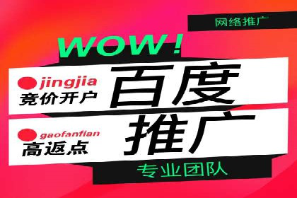 百度竞价效果评估与优化案例
